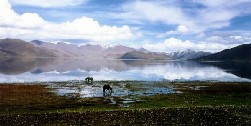 20060223211112-tib-c39c.jpg